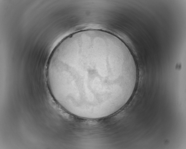 X0000111031190200907231613