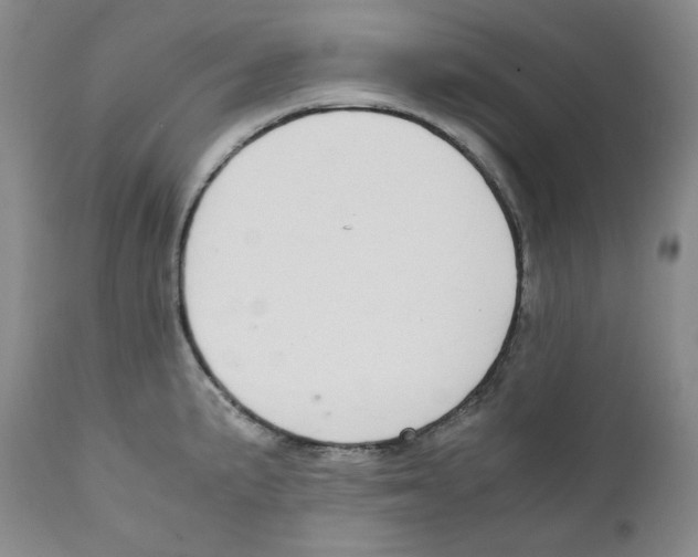 X0000111031191200907231613