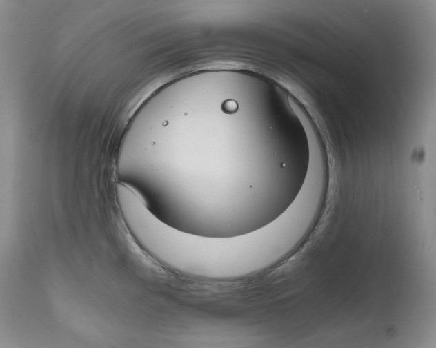 X0000111031193200907231613