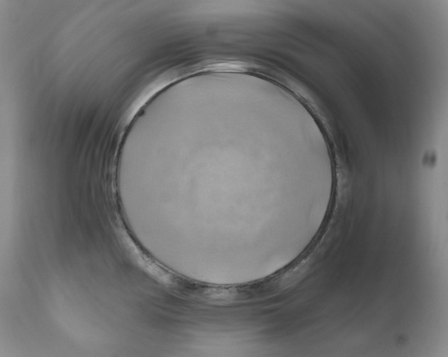 X0000111031194200907231613