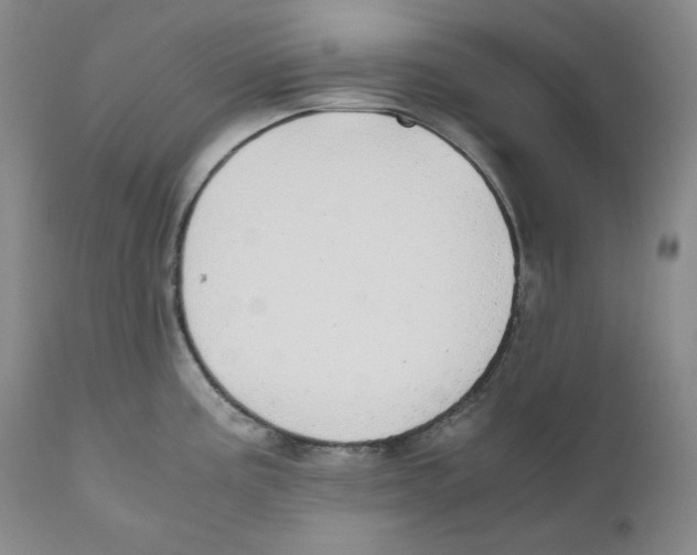 X0000111031195200907231613