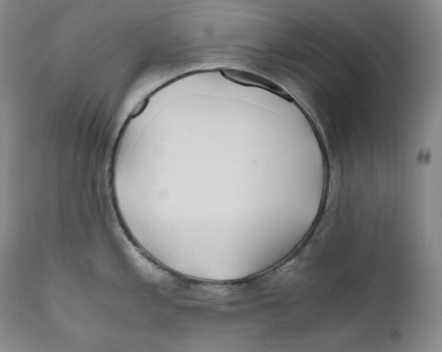 X0000111031197200907231613