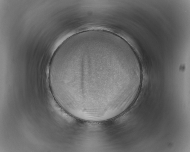 X0000111031198200907231613