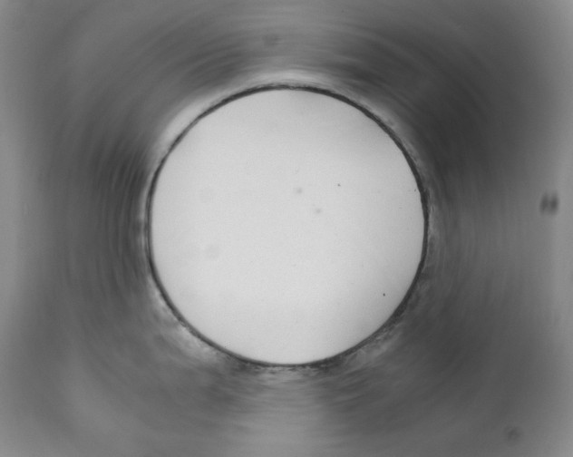 X0000111031199200907231613