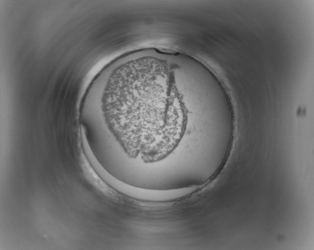 X0000111031200200907231613