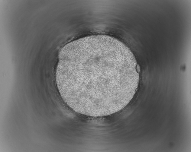 X0000111031201200907231612