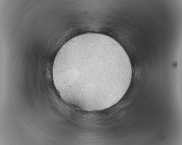 X0000111031202200907231612