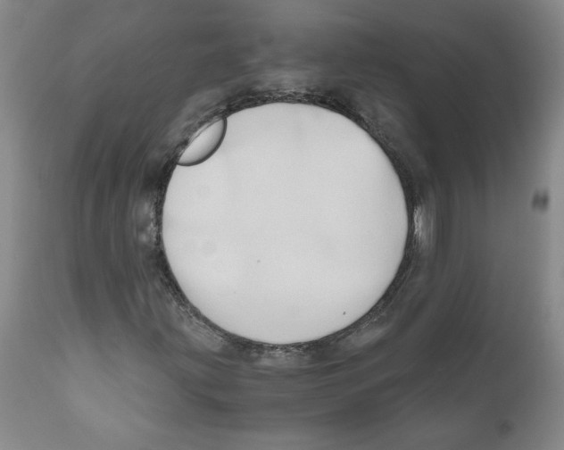 X0000111031203200907231612