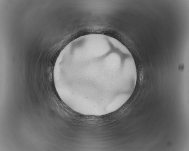 X0000111031204200907231612