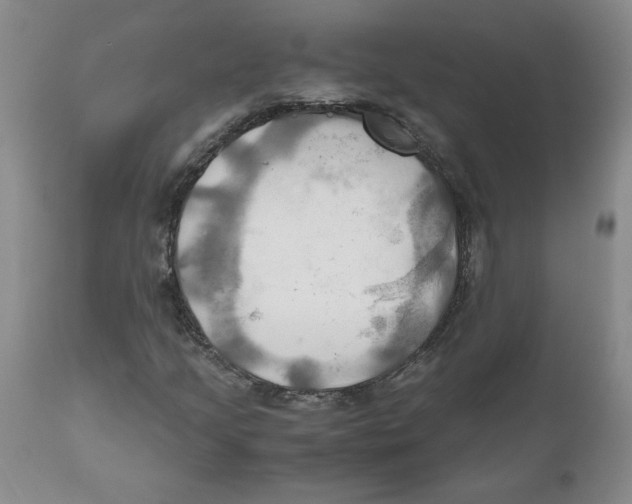 X0000111031205200907231612