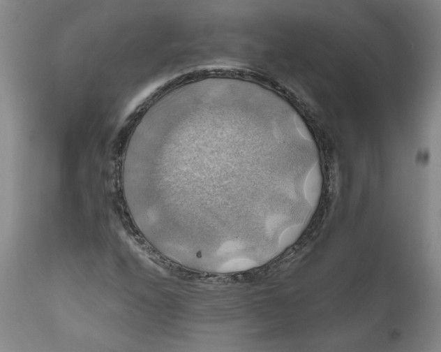 X0000111031208200907231612