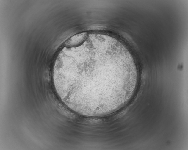 X0000111031209200907231612