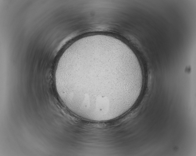 X0000111031210200907231612