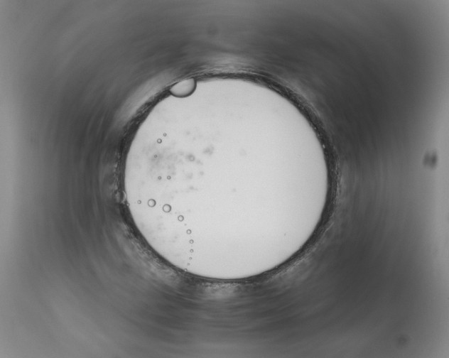 X0000111031211200907231612