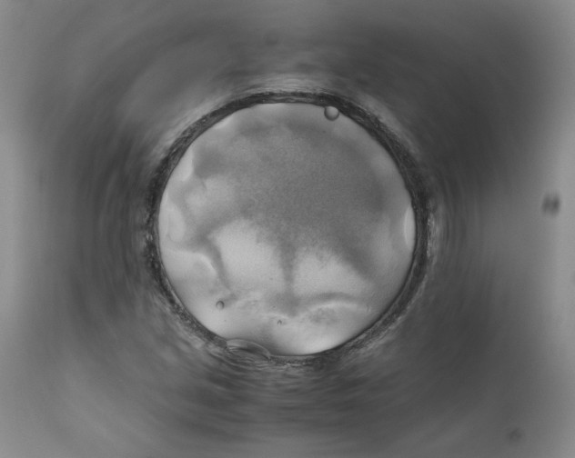 X0000111031213200907231612