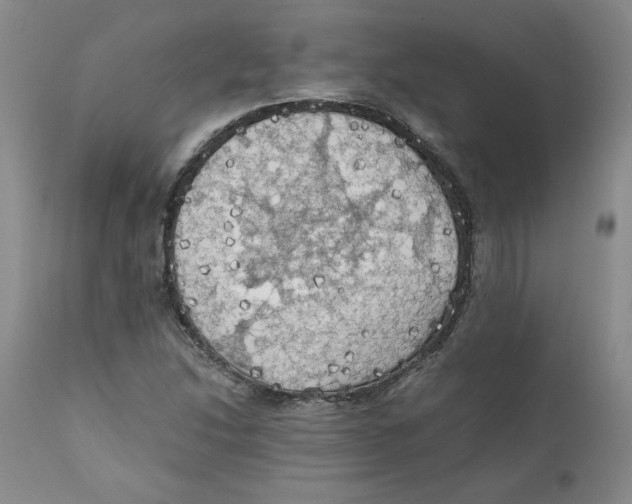 X0000111031214200907231612