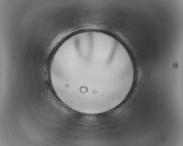 X0000111031215200907231612