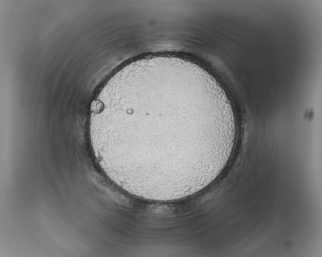 X0000111031217200907231612