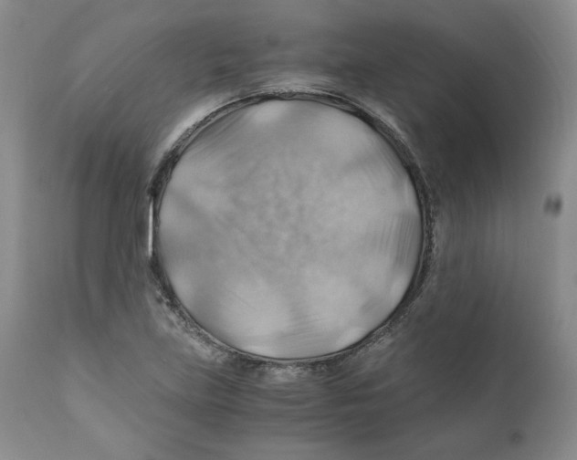 X0000111031219200907231612