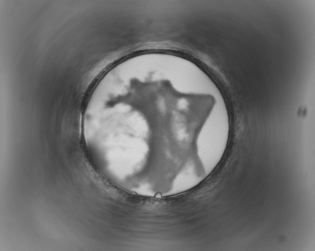 X0000111031221200907231612