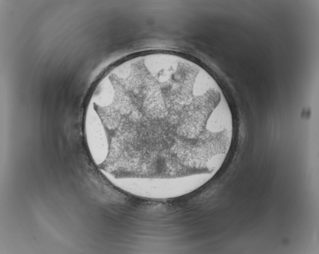 X0000111031222200907231612