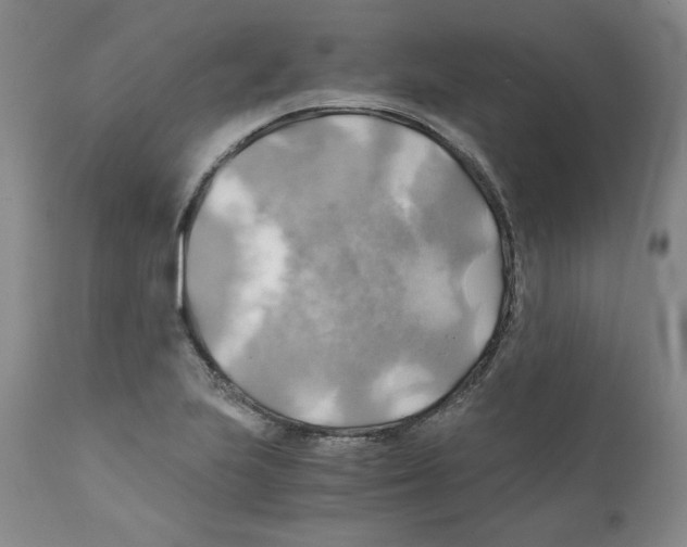 X0000111031223200907231612