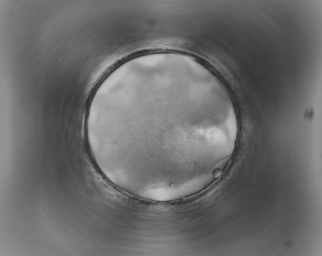 X0000111031224200907231612