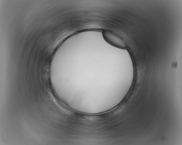 X0000111031225200907231612