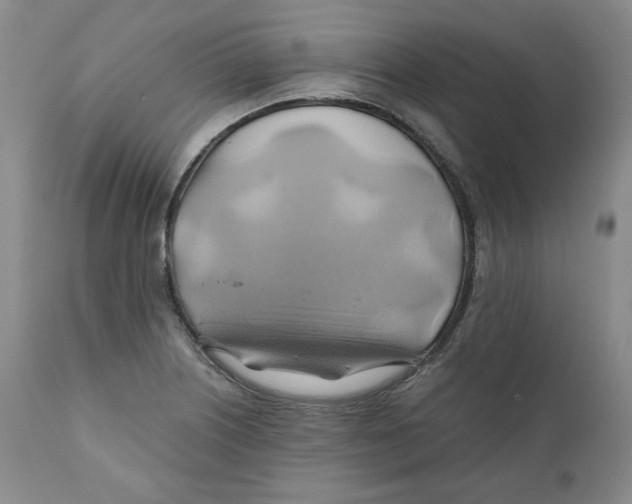 X0000111031226200907231612