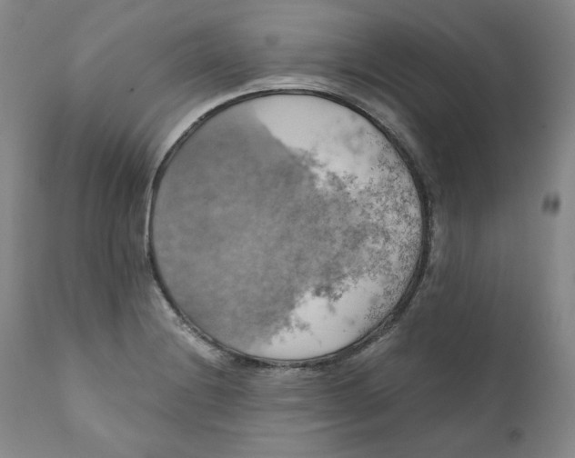 X0000111031228200907231612