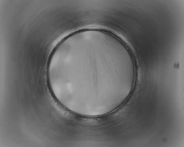 X0000111031229200907231612