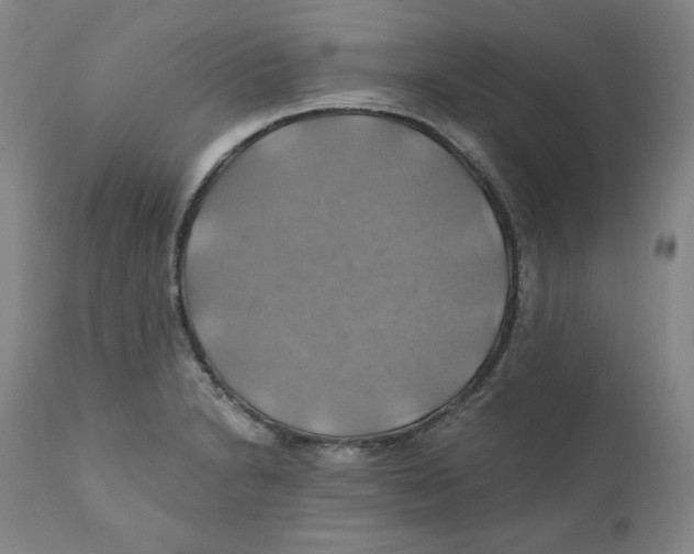 X0000111031230200907231612