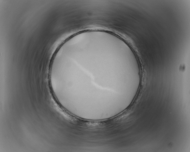 X0000111031231200907231613