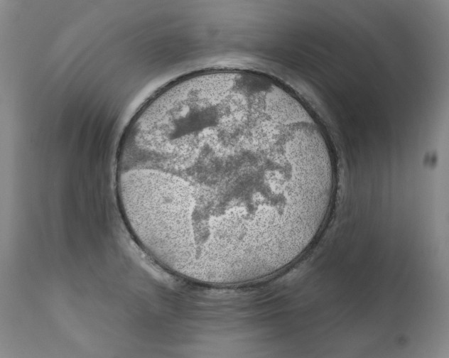 X0000111031232200907231613