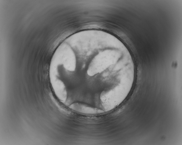 X0000111031233200907231613