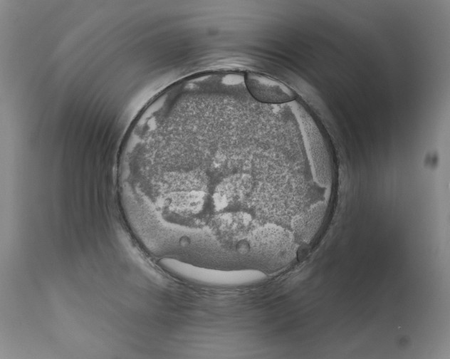 X0000111031234200907231613