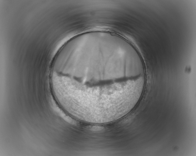 X0000111031235200907231613