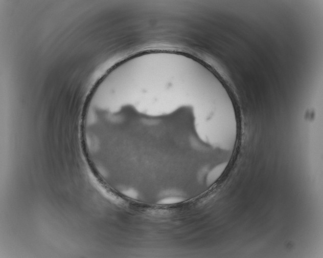 X0000111031237200907231613