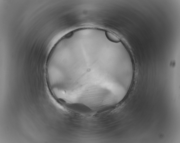 X0000111031239200907231613