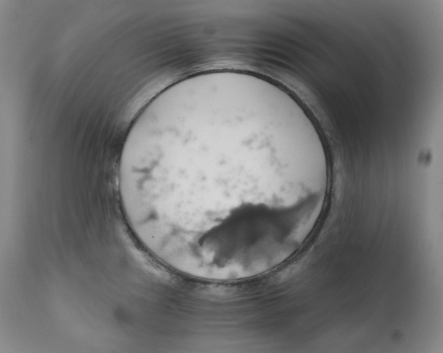 X0000111031241200907231613