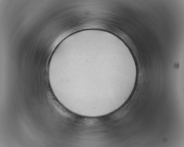 X0000111031242200907231613