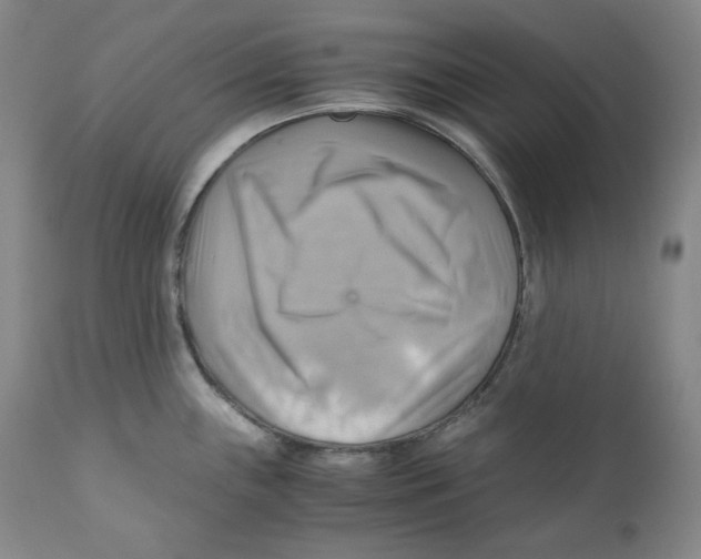 X0000111031243200907231613