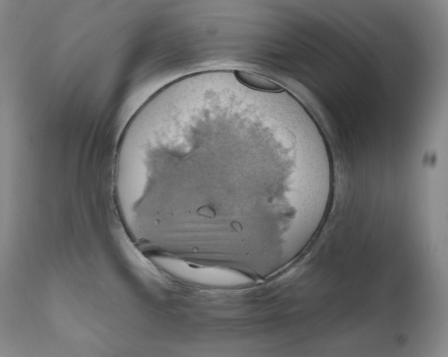 X0000111031244200907231613