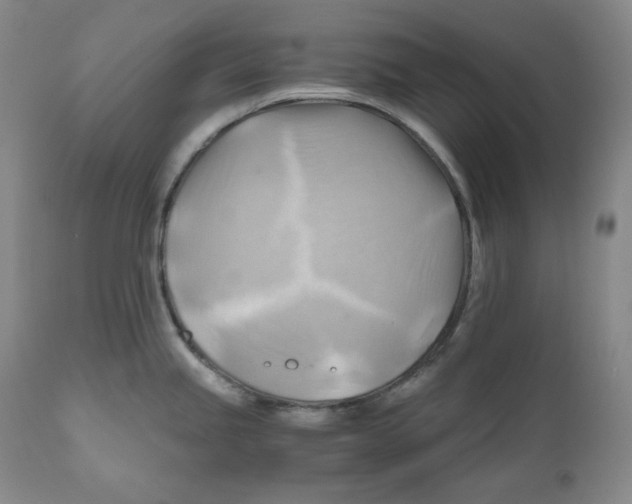 X0000111031245200907231613