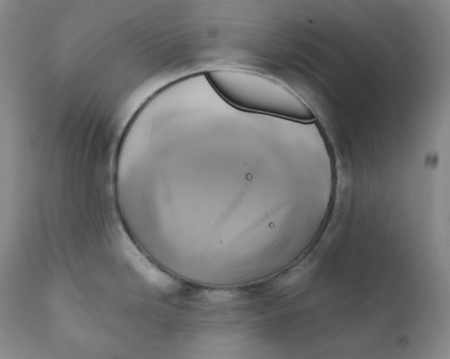 X0000111031246200907231613