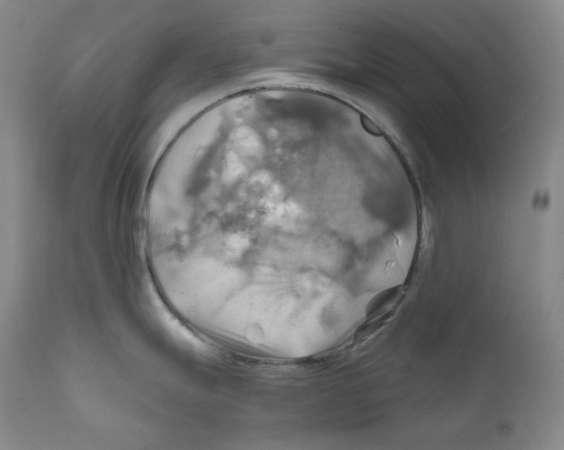 X0000111031247200907231613