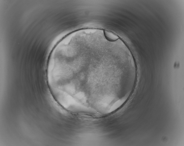 X0000111031248200907231613