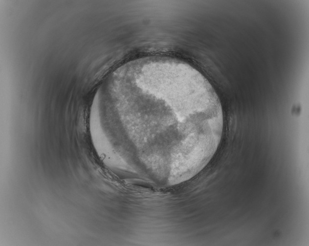 X0000111031250200907231612