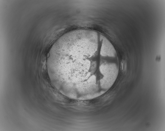 X0000111031251200907231612