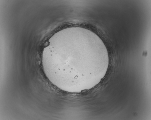 X0000111031253200907231612